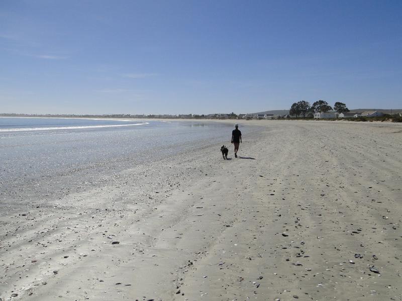 0 Bedroom Property for Sale in Shelley Point Western Cape